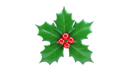 Holly Berries and Leaves on White Background