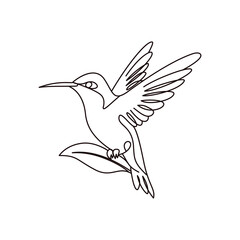 Minimalist Hummingbird Line Art Illustration. Line drawing. Bird Art. Animal Sketch Set