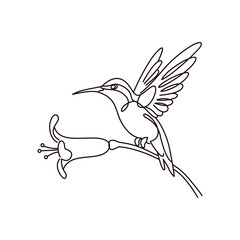 Minimalist Hummingbird Line Art Illustration. Line drawing. Bird Art. Animal Sketch Set
