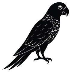Obraz premium bird on a branch
