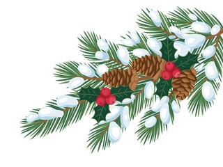 A festive illustration of a snow-covered pine branch with holly and pine cones for winter holidays.