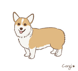 手描きのコーギー_ベクターイラスト