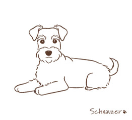 手描きのシュナウザー線画_ベクターイラスト