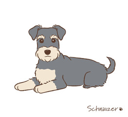 手描きのシュナウザー_ベクターイラスト