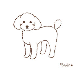手描きのトイプードル線画_ベクターイラスト