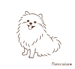手描きのポメラニアン線画_ベクターイラスト