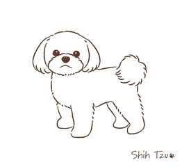 手描きのシーズー線画_ベクターイラスト