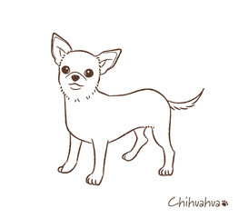手描きのチワワ線画_ベクターイラスト