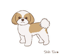 手描きのシーズー_ゴールド＆ホワイト_ベクターイラスト