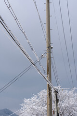 Snow-covered utility pole and power lines cutting across a cold winter sky, creating a minimal urban winter scene with strong linear composition and quiet atmosphere.