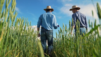 Farming partners in field discussion, Countryside agriculture in summer, Meadow walk by two farmers, Agricultural experts in wheat farm, Harvest planning in rural area, Collaboration in farming, Sunny © TO LOVE