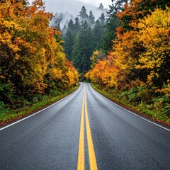 A winding road through a vibrant autumn forest, bathed in muted light.  The road stretches into a misty, wooded landscape, lined with colorful trees showcasing autumn foliage