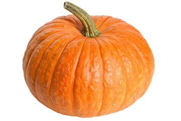 Studio photograph of an autumnal vegetable, a healthy, round pumpkin with deep vertical grooves