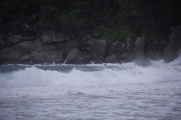 Tropical Shoreline with Waves and Lush Jungle , Freedom Beach