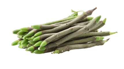 Fresh green beans are piled on dark background healthy legumes gathered for cooking are visually striking