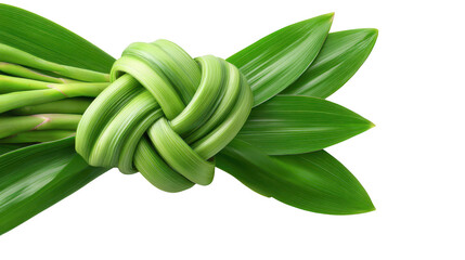 Green leaves with intricate knot design close up of vibrant green foliage forming unique knot