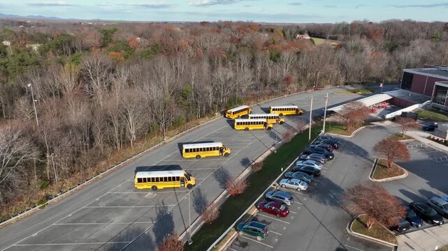 Aerial approaching shot showing several yellow school buses arriving at large American school campus on sunny fall day. Parking in wide lot surrounded by colored trees and suburban landscape, USA.
