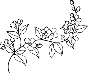 Minimalist Jasmine Flower Vine Line Art, Black and White Floral Branch Illustration