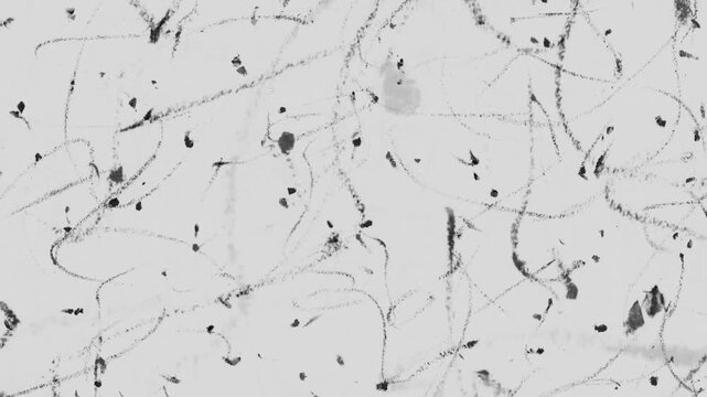 scribbled pencil crayon lines background overlay animation, particle line overlay in greyscale