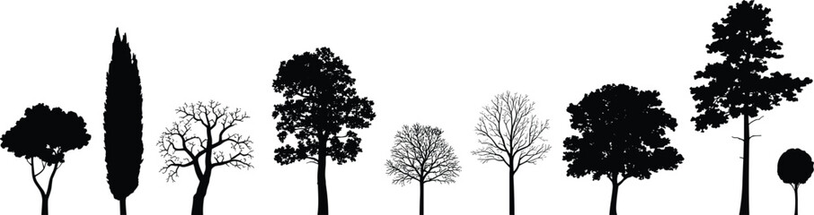 Tree silhouette, diverse foliage, bare branches, leafy crown, botanical shape, forest icon, black vector, white background, isolated illustration, nature design