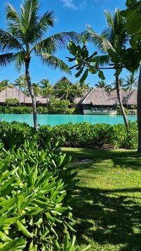 Bora Bora Island, French Polynesia. Vertical View of Beautiful Lagoon and Green Landscape in Luxury Tropical Resort on Motu
