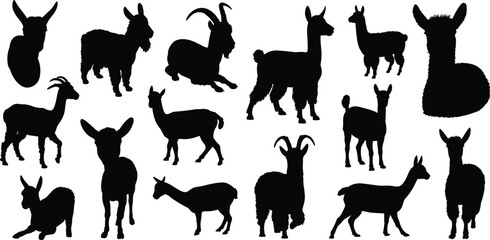 Goat llama silhouette, animal posture, standing sitting, motion pose, black vector, white background, isolated illustration, livestock, farm, nature