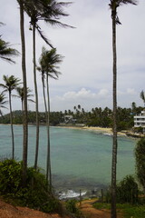 Tropical Palm Trees Overlooking Turquoise Ocean in Sri Lanka