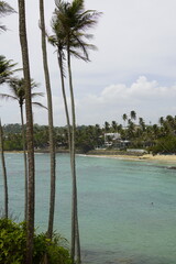 Tropical Palm Trees Overlooking Turquoise Ocean in Sri Lanka