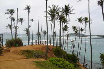 Tropical Palm Trees Overlooking Turquoise Ocean in Sri Lanka