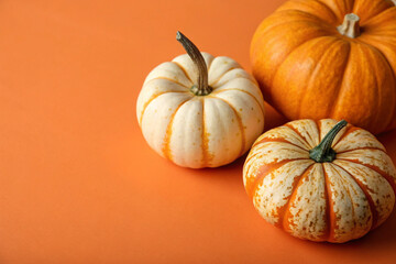 Assortment of vibrant orange, striped, and speckled decorative gourds arranged closely for an autumn harvest display