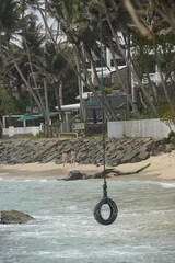 Tropical Palm Trees Overlooking Turquoise Ocean in Sri Lanka