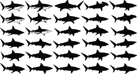 Black Shark Silhouettes and Outlines Vector Illustration Set, Different Species and Poses for Ocean Wildlife, Underwater Predator, Nautical, and Danger Concept Design