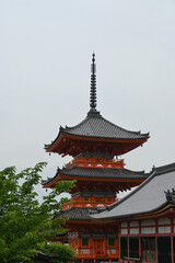 Fototapeta premium Fushimi Inari Taisha Temple in Kyoto Japan