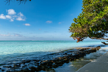 Tropical Beach Paradise in Mathiveri, Maldives