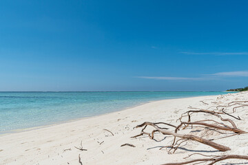 Tropical Beach Paradise in Mathiveri, Maldives