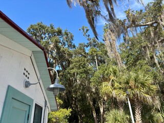 Barn light on white building under Spanish moss & palm trees