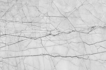 Clean white marble stone texture with sharp branch-like black veins and a fractured natural...