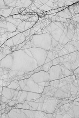 Clean white marble stone texture with sharp branch-like black veins and a fractured natural pattern, perfect for minimalist interior design and high-end bathroom surfaces.