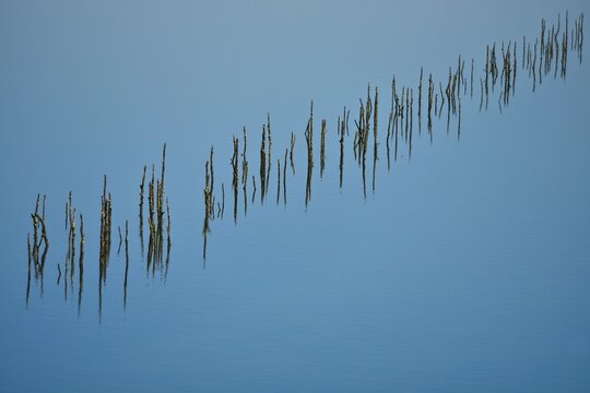 Wooden sticks in the blue waters of Haliacmon river in Veria, Central Macedonia Greece.