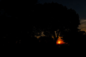 sunset over the forest 