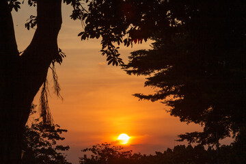 sunset over the forest 