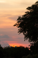 sunset over the forest 