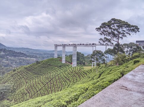 KARANGANYAR, INDONESIA - DECEMBER 14, 2025: Modern glass bridge on a hill overlooking the tea plantation on Lawu Mountain. A popular tourist destination.