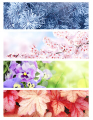 Four season of year. Set of horizontal nature banners. Each one features scene of nature, from the gentle snowfall of winter to the vibrant leaves of summer. Perfect for showcasing changing seasons