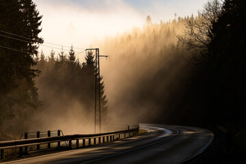 Winding road disappearing into fog with sun rays cutting through forest, creating moody atmosphere, mystery and journey concept, ideal for travel, safety, freedom, direction and abstract background us
