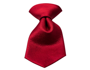 Classic Red Necktie Close-Up – Isolated PNG