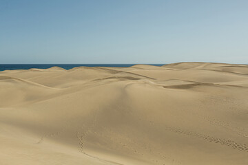 Desert Landscape with Sand Dunes and Ocean View