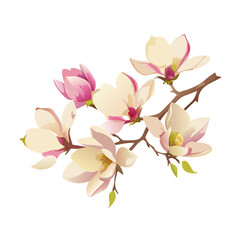 Obraz premium Pink cherry blossom and orchid flowers blooming on a branch, isolated against a white background, symbolizing the beauty of spring nature