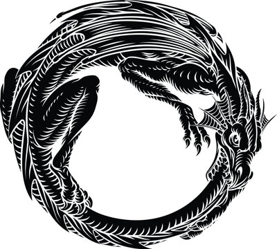 Dragon in circle ouroboros form, consuming its tail. Detailed black and white vintage woodcut style fantasy illustration. Intricate line art ideal for tattoos, symbols, or mythological designs.