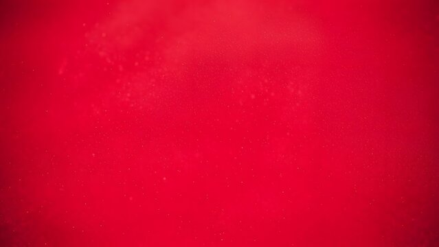 Solid red circle isolated on white background